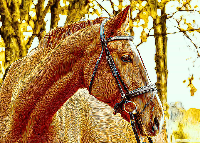 Horse