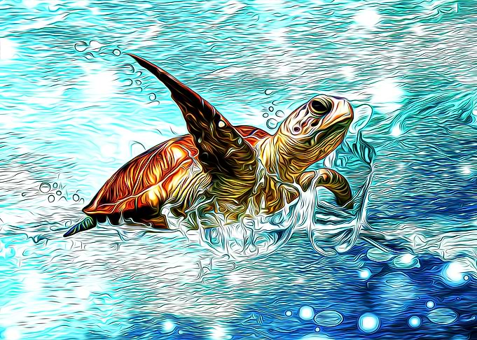 Turtle