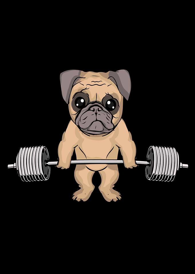 Pug Dog Gym Lover Deadlift