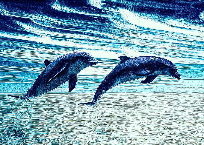 Dolphin