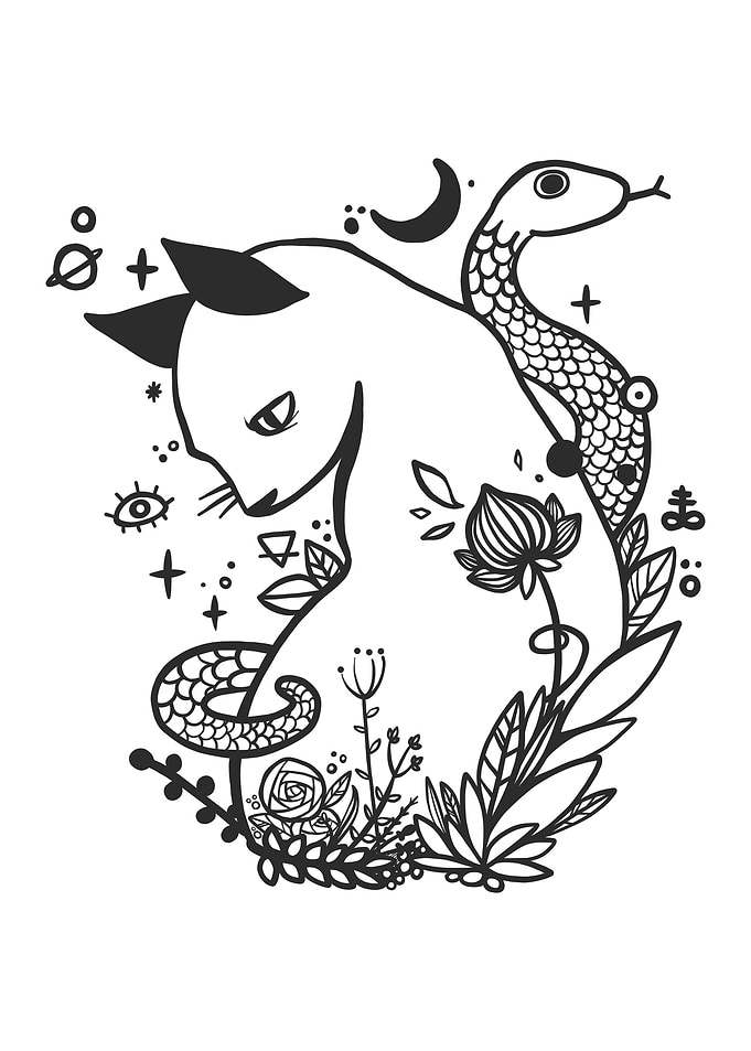 Cat And Snake