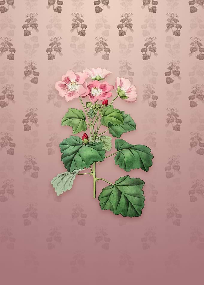 Rhomb Leaf Palavia Flower