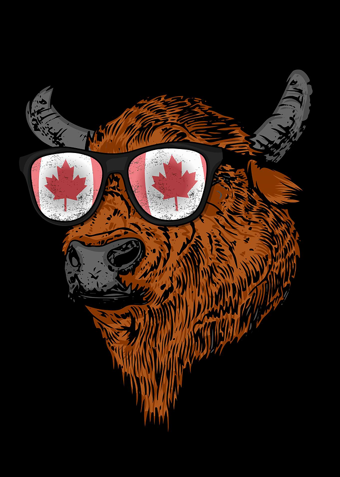 Buffalo Canada Bison