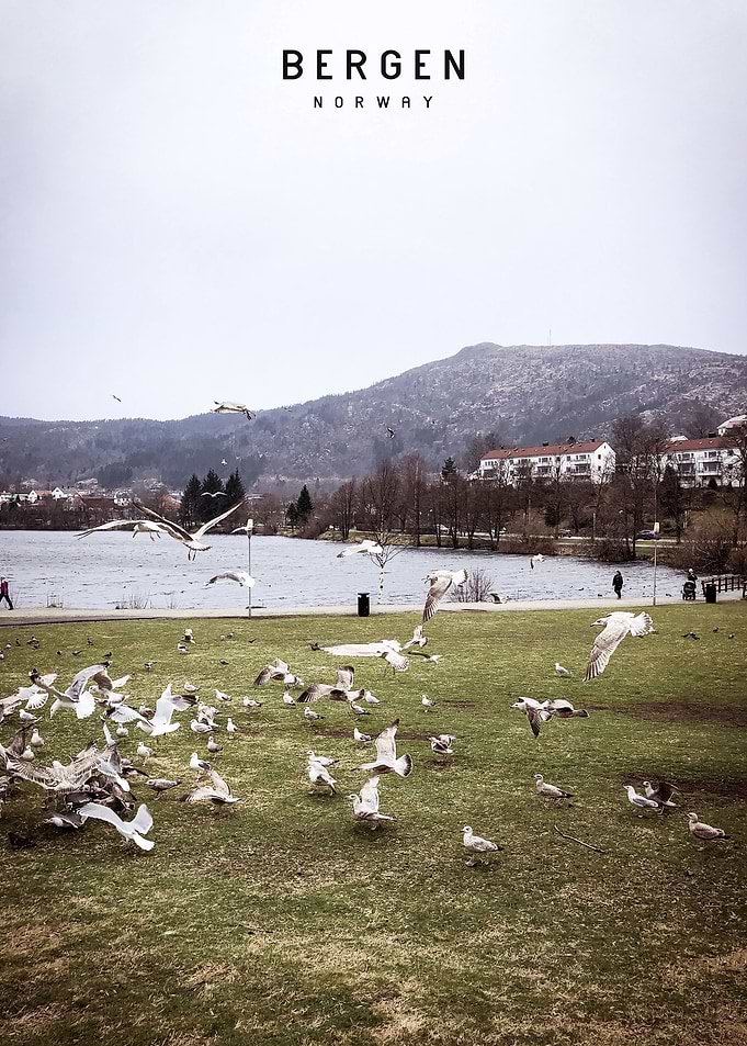 Bergen