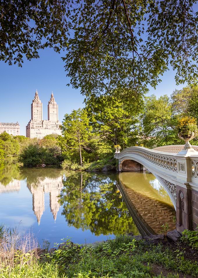 Bridge in Central Park NYC