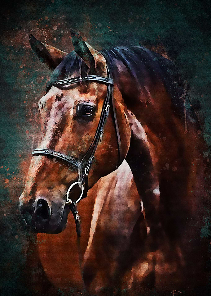 Black Horse