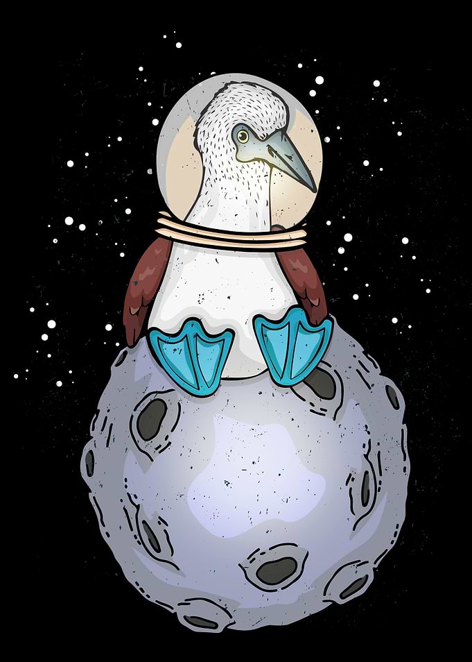 Blue Footed Bobby Bird