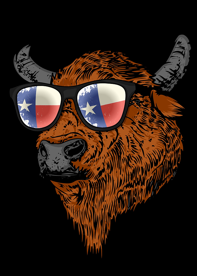 Bison Texas USA Buffalo