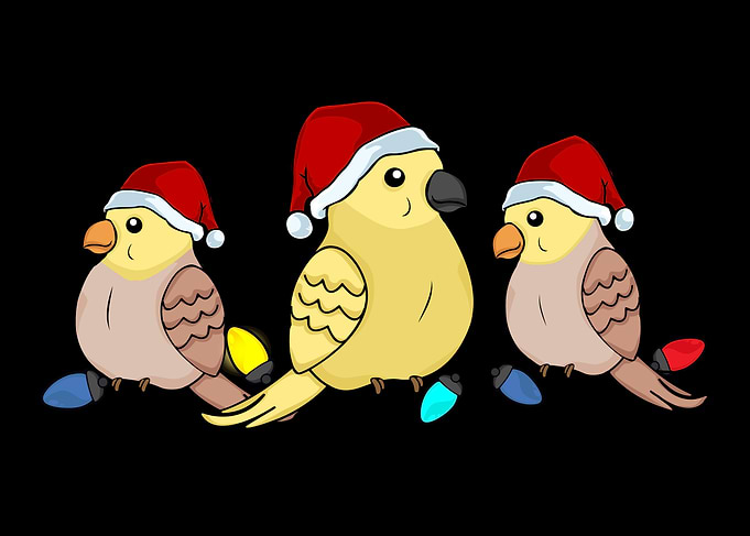 Christmas Cockatiel Birds