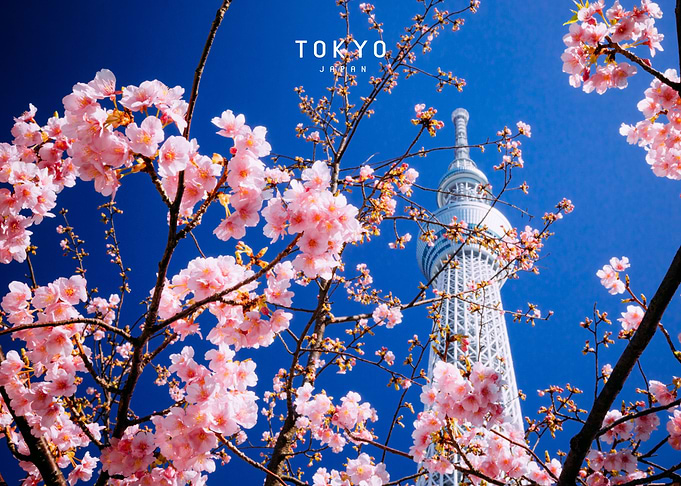 Tokyo
