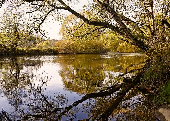 Along the river