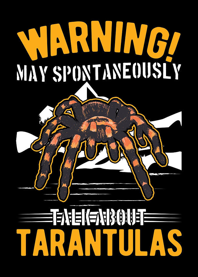 Tarantula Spider