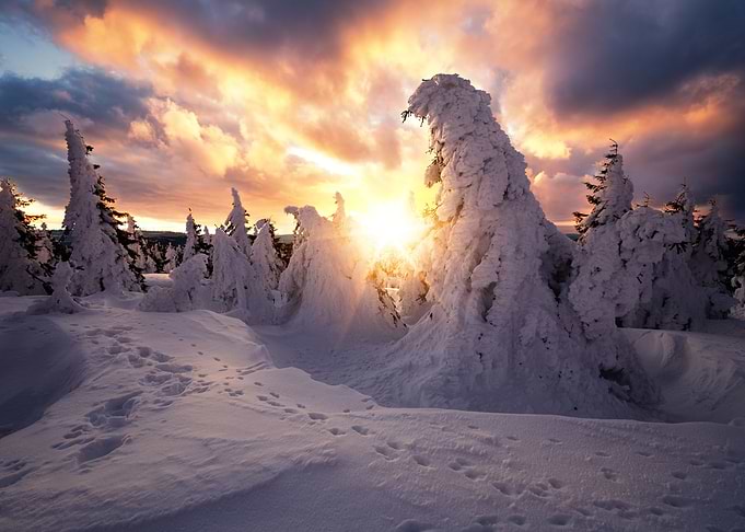 Snow giants