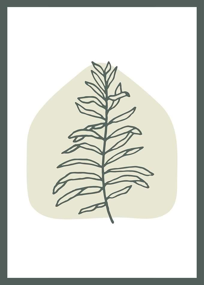 Hand Drawn Botanical