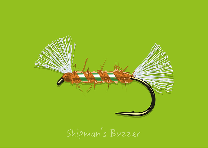 Shipmans Damsel