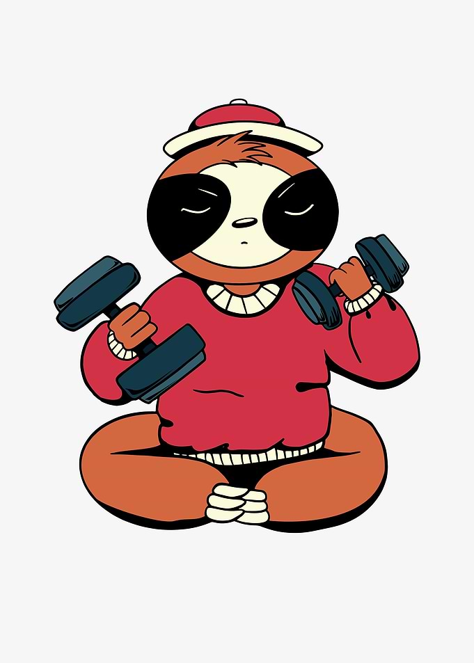 Funny Sloth workout gym