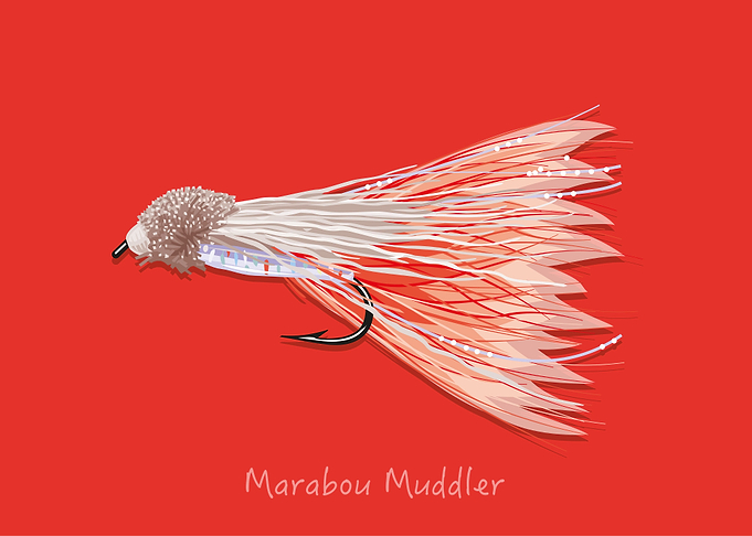 Marabou