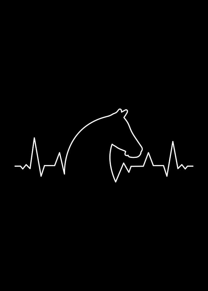 Horse Heartbeat Riding