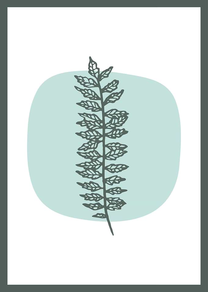 Hand Drawn Botanical