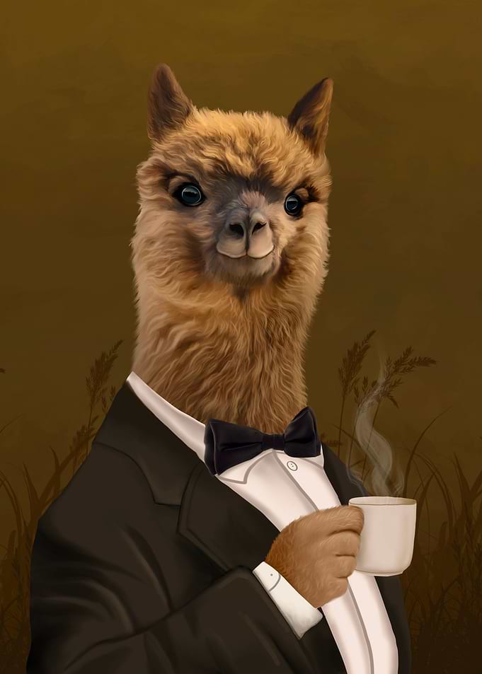 Llama and coffe
