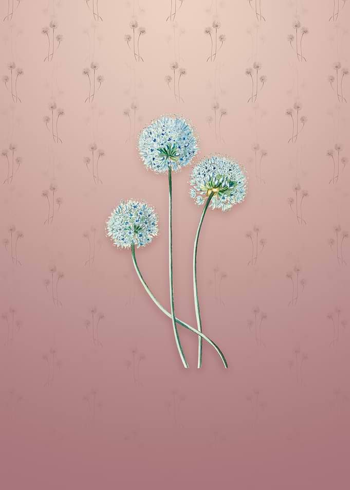 Vintage Blue Leek Flower