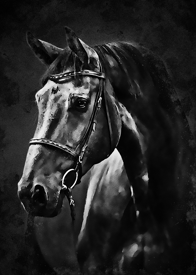 Black Horse