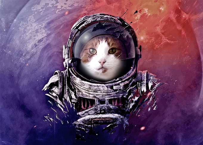 Astronaut