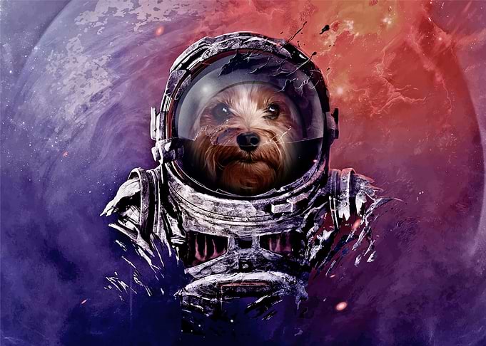 Astronaut