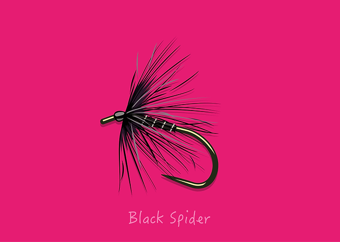 Black Spider
