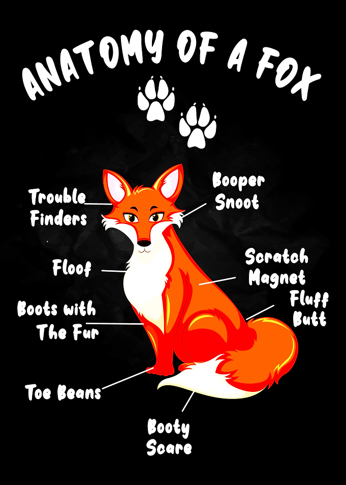 Anatomy of a Fox