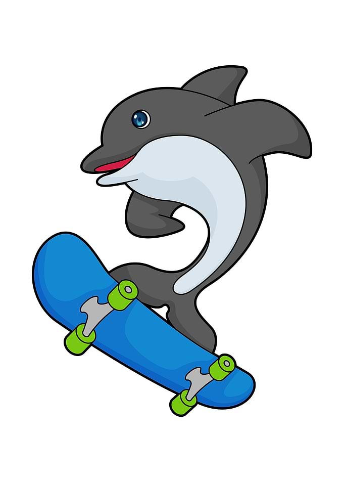 Dolphin Skater Skateboard