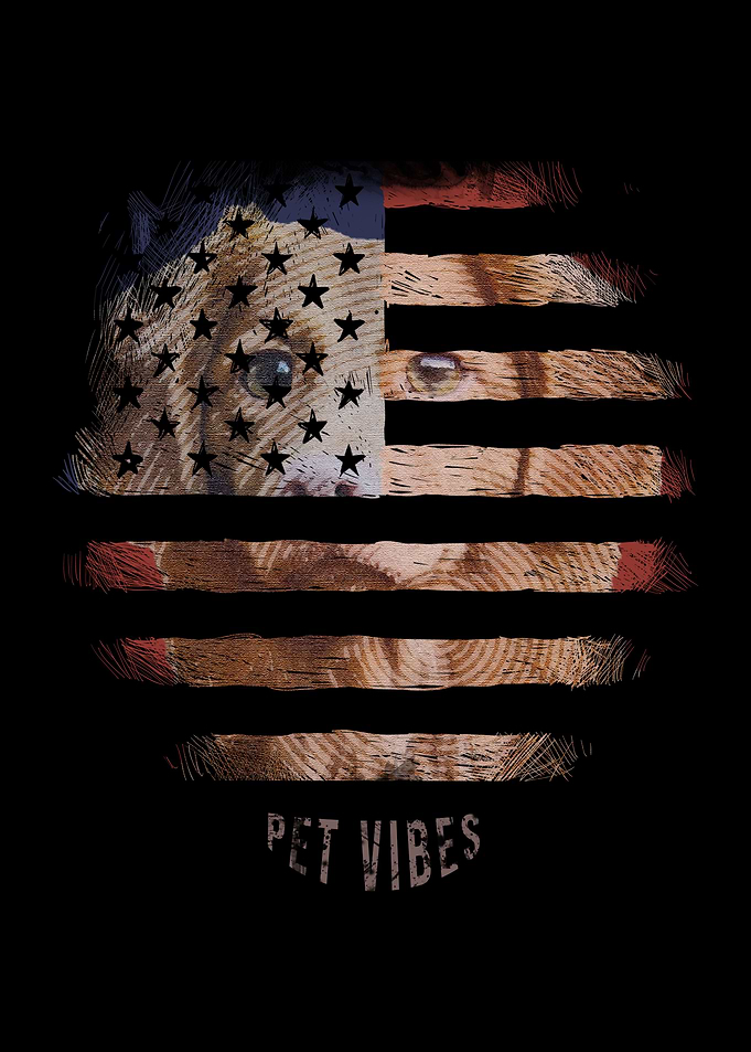 Dog Pet vibes