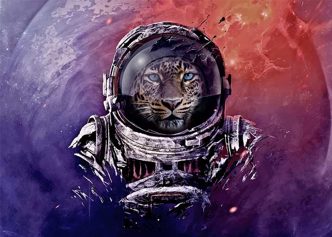 Astronaut