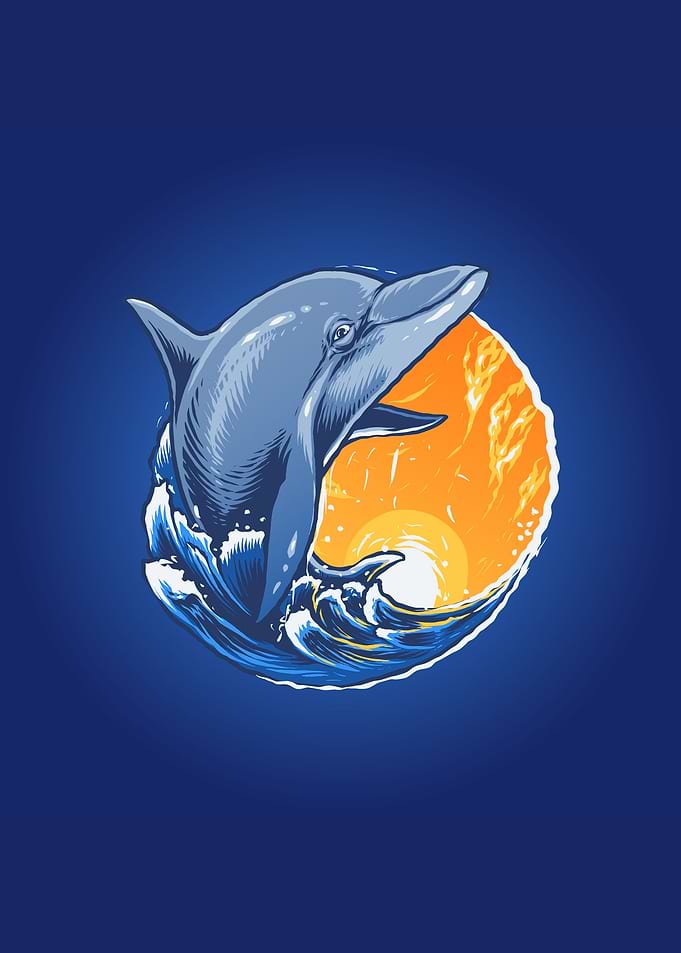 The dolphin in the sea