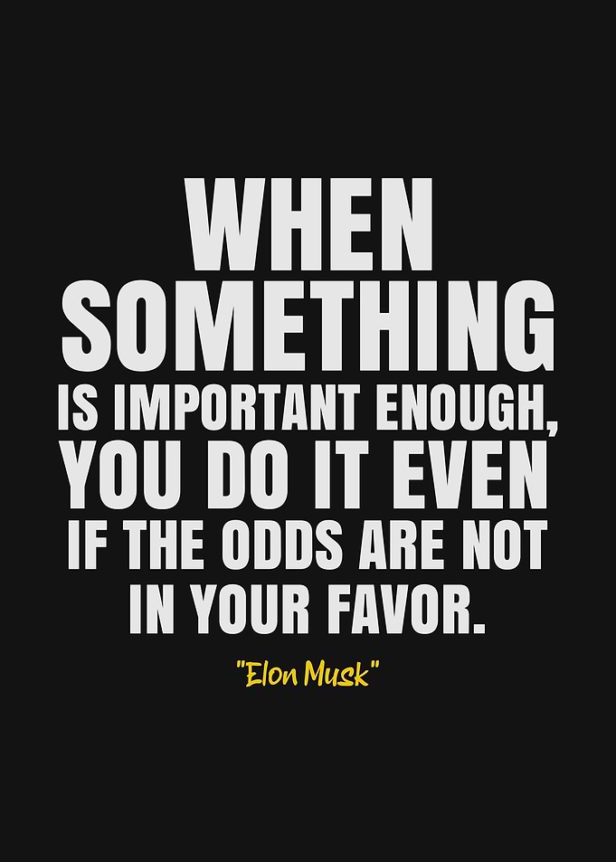 Elon Musk Quote