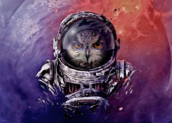 Astronaut