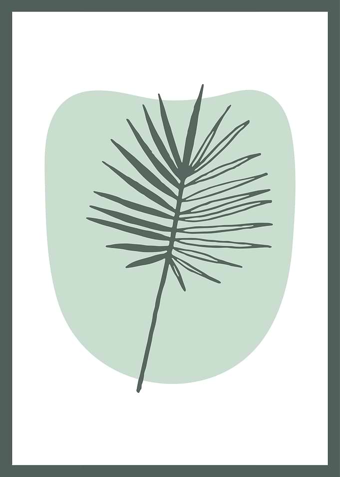 Hand Drawn Botanical