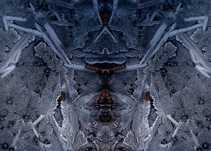 Ice Temple 14