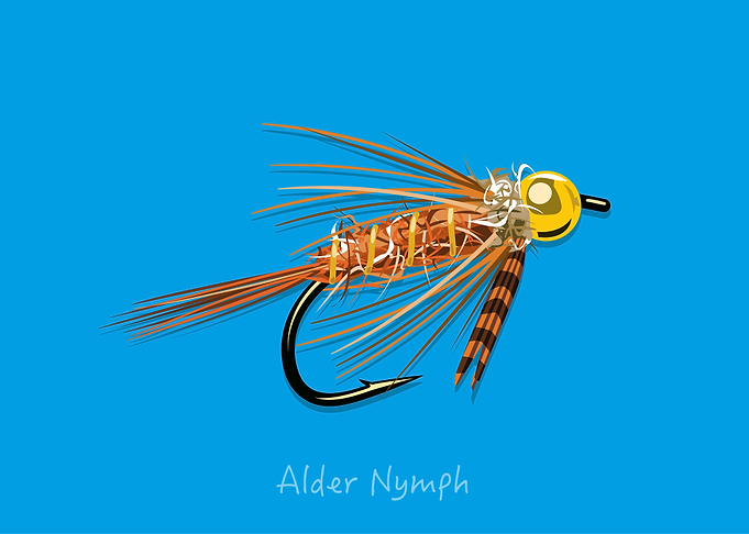 Alder Nymph