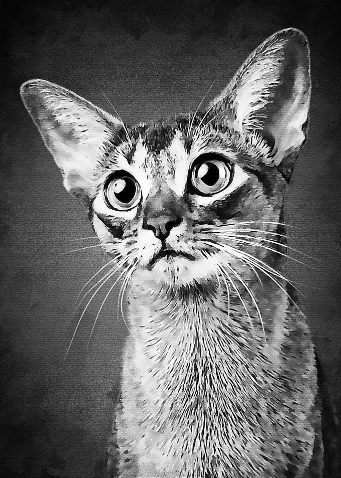 Love Cat