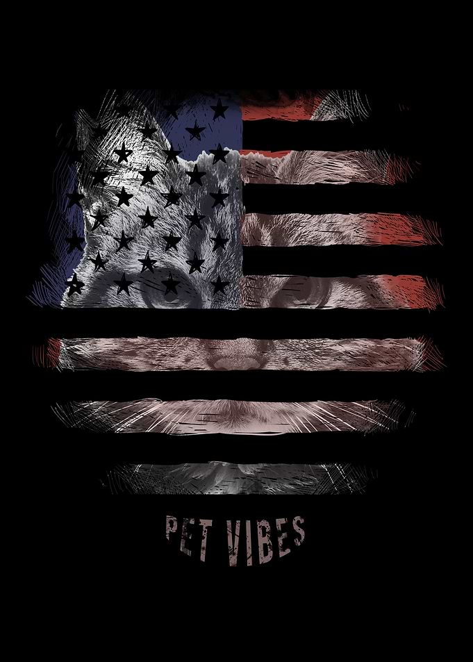 Cat Pet Vibes