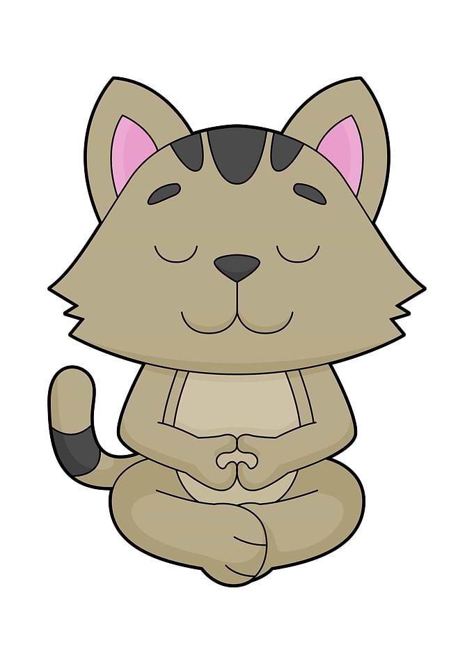 Cat Yoga Meditation