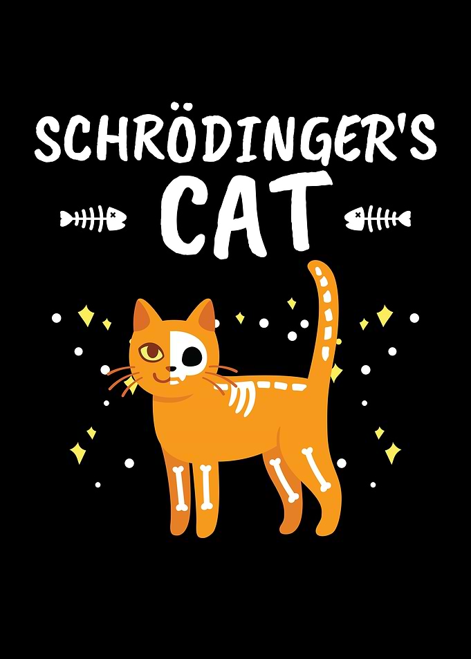 Schrdingers Cat