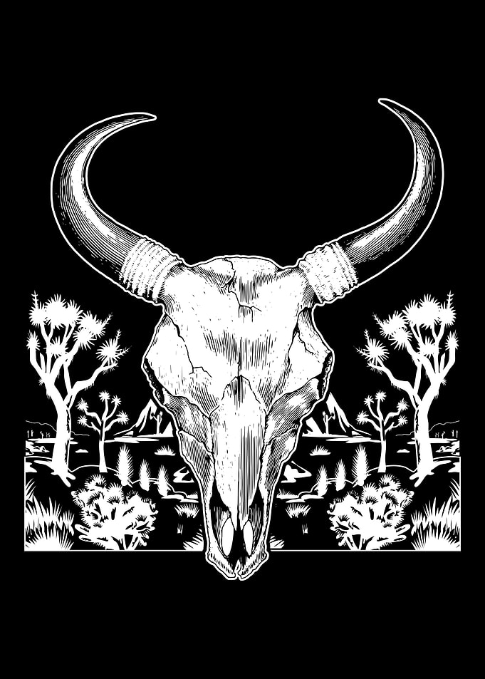 Longhorn Western Texas