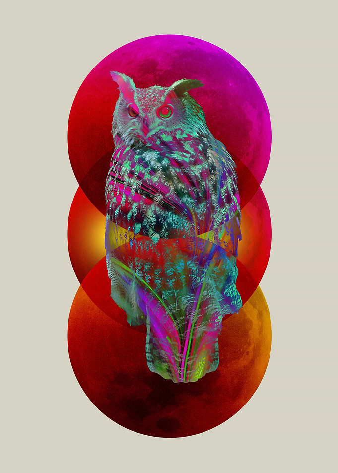 Spirit Owl