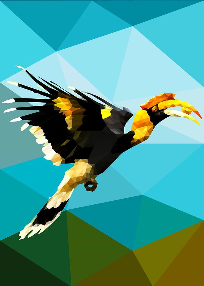Hornbill