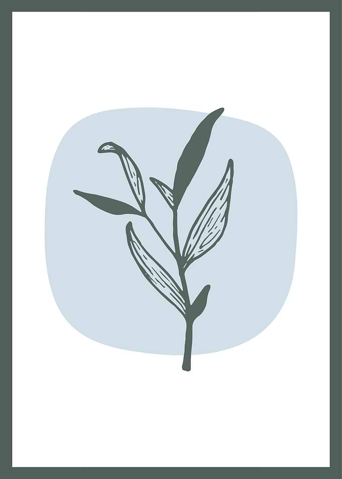 Hand Drawn Botanical