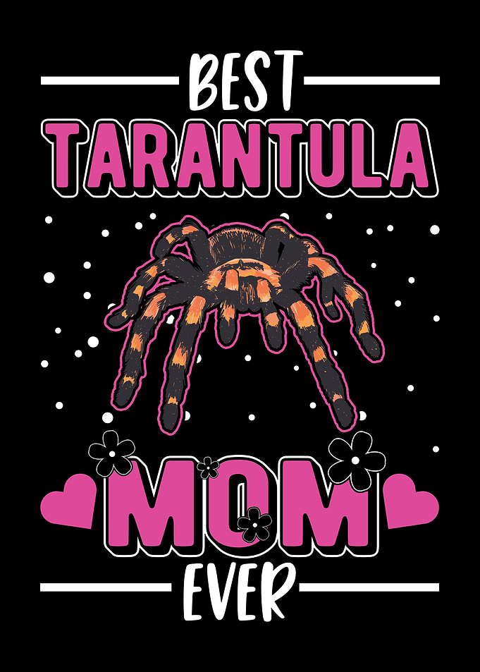 Tarantula Spider