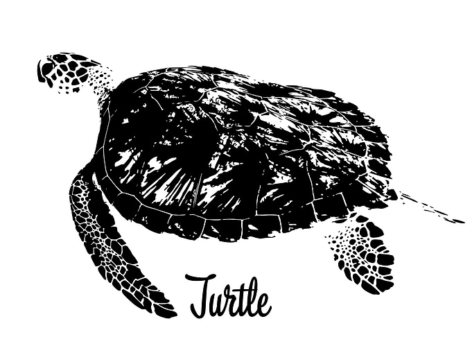 Turtle