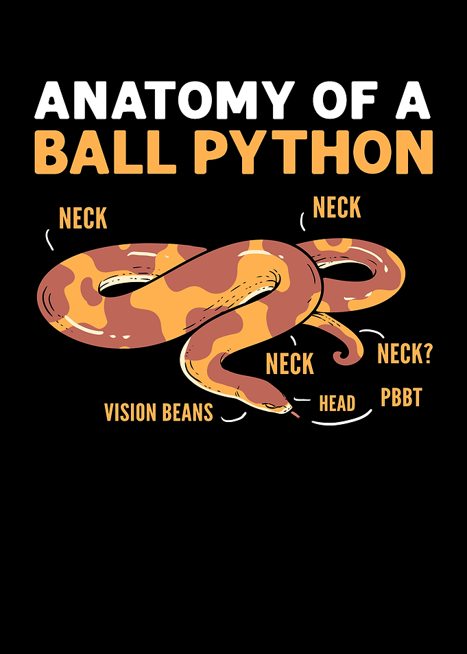 Anatomy Of A Ball Python